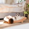 FelineZen Wooden Cat Scratching Pad Sleeping Bed MultiFunction Detachable WearResistant Kitten Lo 1