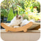 FelineZen Wooden Cat Scratching Pad Sleeping Bed MultiFunction Detachable WearResistant Kitten Lo 4