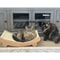 FelineZen Wooden Cat Scratching Pad Sleeping Bed MultiFunction Detachable WearResistant Kitten Lo 5