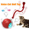 Smart Roll Play Cat Ball Toy USB Rechargeable Automatic Interactive For Cats 1