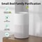 HEPA Air Purifier For Home With Scented Sponge 4