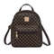 Classic Women Backpack Fashion School Bag For Girls And Women Daily Backpack For Shopping And Schoo 0