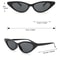 ShapeSwap 3Pack Sunglasses Trio Cat Eye Round Square Frames For Men Women 4