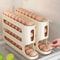 LadderStyle Slide Egg Storage Box 24 Layer Automatic Rolling Organizer 0