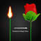 Flame To Red Rose Magic Trick Torch Surprise Prop 1