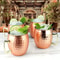 Stainless Steel Moscow Mule Mug 530ml Beer And Coffee Cup 5