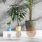 CatProof Plant Pot Soil Guard With Fixing Nails 2