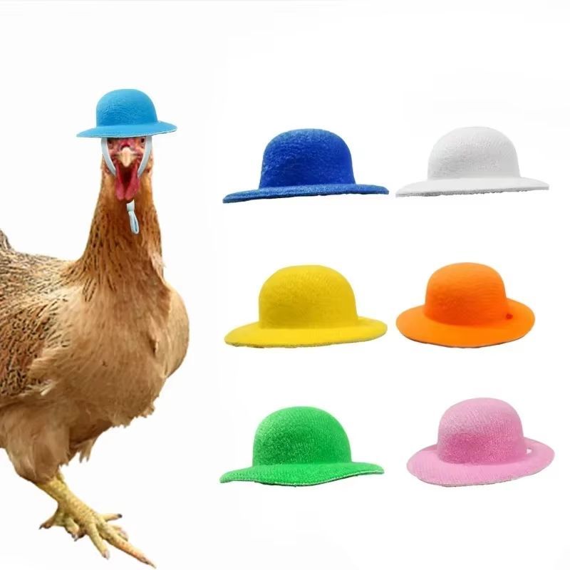 Mini Top Hat Accessory For Hens Small Poultry Fun Costume Pet Hat 1