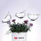 BirdShaped Self Watering Globes HandBlown Clear Glass Aqua Bulbs For Indoor And Outdoor Plants 0