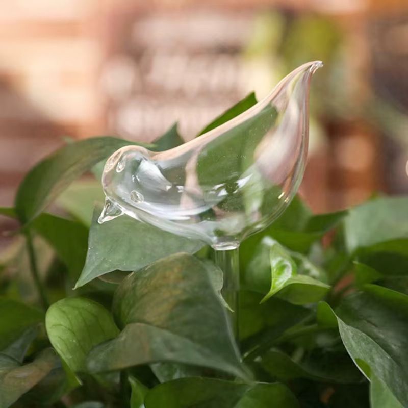 BirdShaped Self Watering Globes HandBlown Clear Glass Aqua Bulbs For Indoor And Outdoor Plants 1