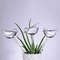 BirdShaped Self Watering Globes HandBlown Clear Glass Aqua Bulbs For Indoor And Outdoor Plants 3