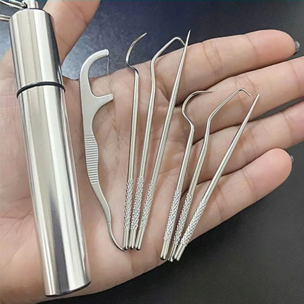 Stainless Steel Reusable Toothpick Set Portable Metal Floss Picks For Clean Teeth Anywhere 0