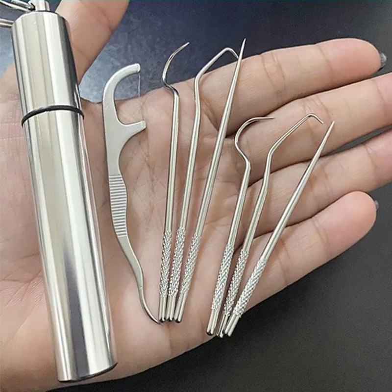 Stainless Steel Reusable Toothpick Set Portable Metal Floss Picks For Clean Teeth Anywhere 0