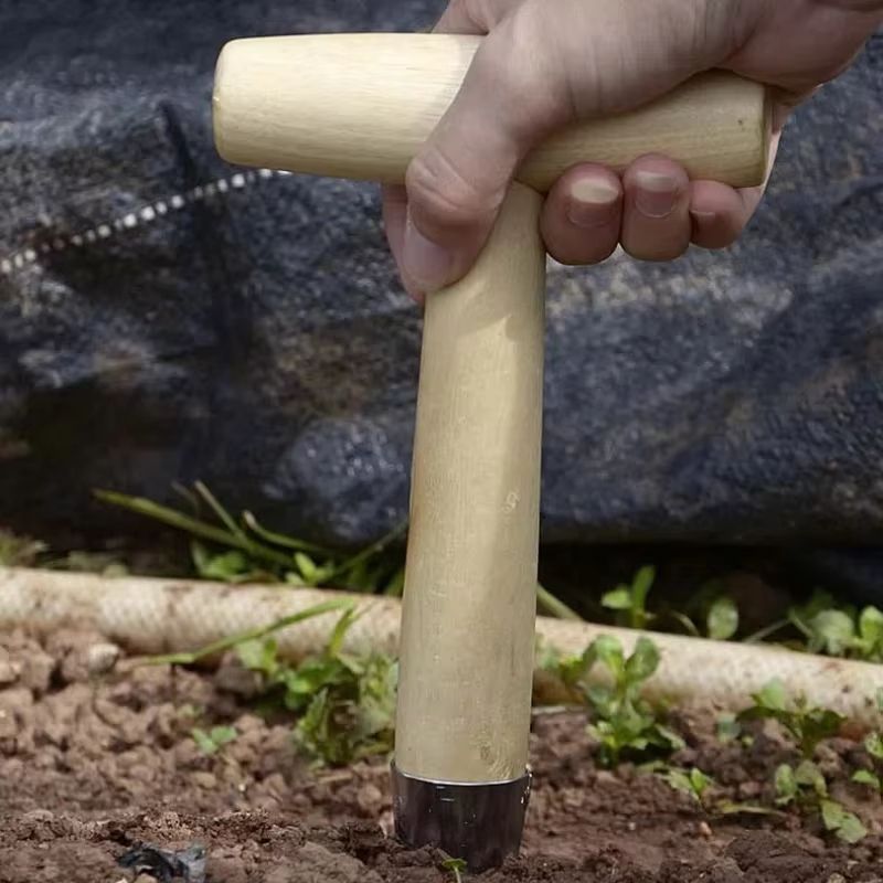 Stainless Steel Hand Dibber With Wood Handle Precision Garden Dibber For Seeds Seedlings Bulbs 5