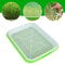 Hydroponic Microgreens Germination Tray Reusable Nursery Sprouting Tray For Home Growing Systems 2