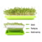 Hydroponic Microgreens Germination Tray Reusable Nursery Sprouting Tray For Home Growing Systems 3