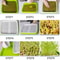 Hydroponic Microgreens Germination Tray Reusable Nursery Sprouting Tray For Home Growing Systems 4