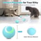 USB Rechargeable Smart Rolling Cat Ball Automatic Interactive Toy For Indoor Cats 1
