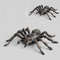 Jumbo Fake Tarantula Halloween Prank Spider Toy 9