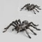 Jumbo Fake Tarantula Halloween Prank Spider Toy 9