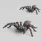 Jumbo Fake Tarantula Halloween Prank Spider Toy 7