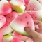 Soft Watermelon AntiStress Squishy Toy 0