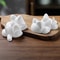 Cute Sushi Making Tools Set Animal Shape Onigiri Molds For Rice Mashed Potato Or Pumpkin 4