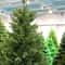 PVC Large Artificial Christmas Tree Encrypted Green Simulation Tree For Indoor And Outdoor Holiday 1