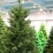 PVC Large Artificial Christmas Tree Encrypted Green Simulation Tree For Indoor And Outdoor Holiday 1