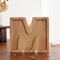 Wooden Alphabet Piggy Bank A To Z Transparent Acrylic Money Box Children Toy Storage Decor 15