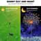 Solar LED Firework Fairy Light Outdoor Garden Pathway Lawn Decoration For Yard And Events 1