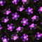Purple Solar Flower Fairy String Lights Outdoor Decorative Garden Lighting 4
