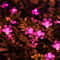 Solar Cherry Blossom Flower String Lights Waterproof Outdoor Garden Decoration 1