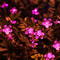 Solar Cherry Blossom Flower String Lights Waterproof Outdoor Garden Decoration 1