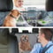 Waterproof Dog Car Hammock Back Seat Cover With Safety Belt For SUVs Trucks And Cars 3