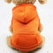 Fashion Dog Hoodie For Autumn And Winter Thick Warm Pet Clothes For Small Dogs 9