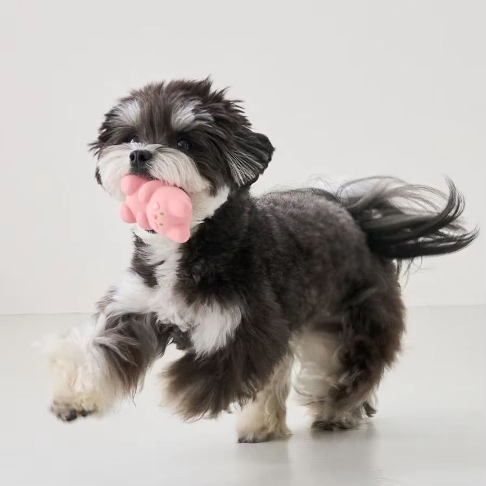 Squeaky Latex Dog Toys Set Interactive Beeping Playtime Companions For Puppies And Dogs 2