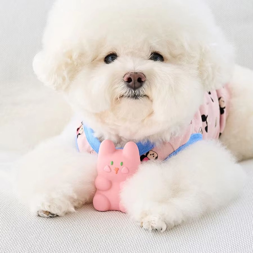 Squeaky Latex Dog Toys Set Interactive Beeping Playtime Companions For Puppies And Dogs 3