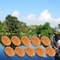 Carp Fishing Soft Floating Artificial Tiger Nut Bait PopUp Pellet Terminal Tackle 3