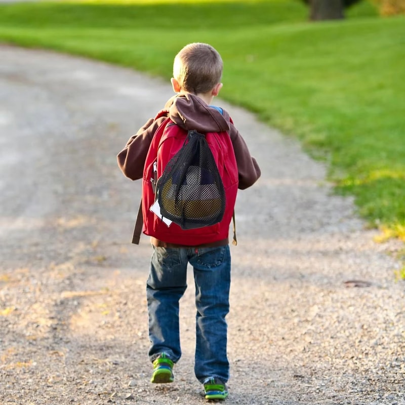 Portable Drawstring Mesh Sports Ball Storage Bag For Basketball Soccer Volleyball 2