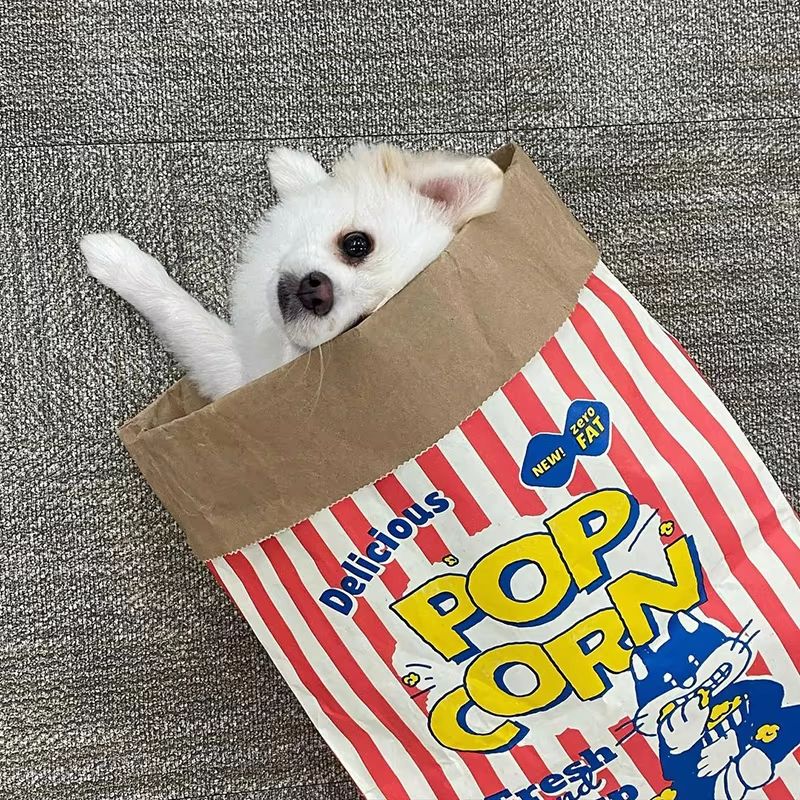 Creative Cute Hidden Food Pet Chew Toy Popcorn Kraft Paper Puzzle Sound Toy For Cats Dogs 2