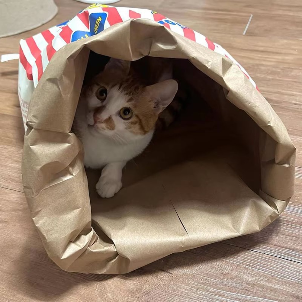 Creative Cute Hidden Food Pet Chew Toy Popcorn Kraft Paper Puzzle Sound Toy For Cats Dogs 3
