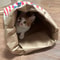 Creative Cute Hidden Food Pet Chew Toy Popcorn Kraft Paper Puzzle Sound Toy For Cats Dogs 3