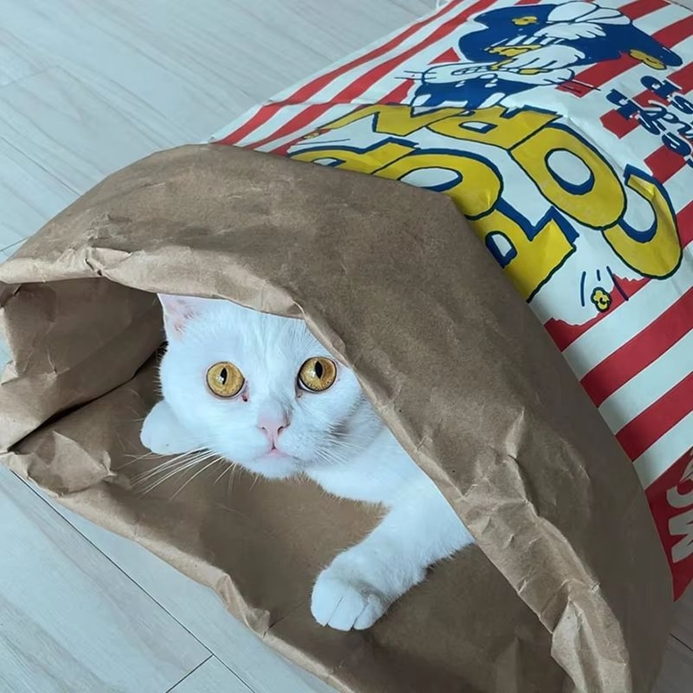 Creative Cute Hidden Food Pet Chew Toy Popcorn Kraft Paper Puzzle Sound Toy For Cats Dogs 4