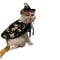 Pet Halloween Costume Cape And Hat For Dogs And Cats 0
