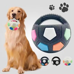 durable football and tennis ball shaped pet dog toys