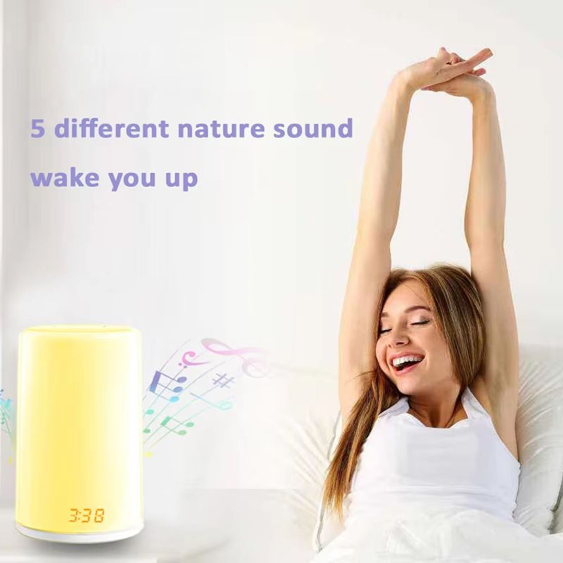 Sunrise Alarm Clock With Wake Up Light Natural Sounds Touch Control 4