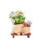 Smiley Rocking Chair Succulent Planter Pot For Indoor Outdoor Garden Decor 7