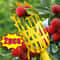 Garden Fruit Picker Tool With Basket Head For Apples Peaches And Orchard Harvesting 1 Or 2 Pack 0