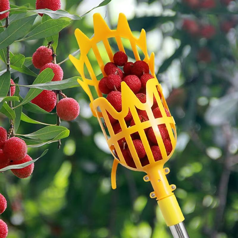 Garden Fruit Picker Tool With Basket Head For Apples Peaches And Orchard Harvesting 1 Or 2 Pack 1